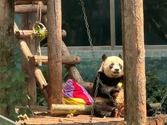 -大连森林动物园