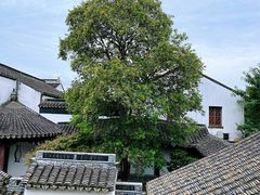 -檀园