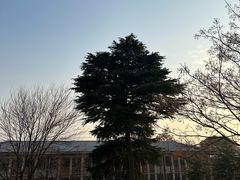 -钟山体育运动公园