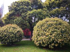 -复旦大学光华楼