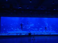 -烟台海昌鲸鲨海洋公园