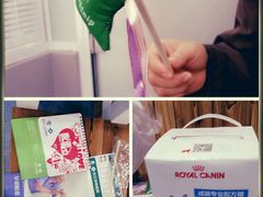 -瑞派长江宠物医院·猫科·外科·24小时夜护(谊城公寓分院)