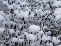 -瓦屋山景区