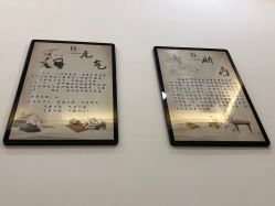 -DEM缔怡美科技美容