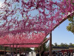 -狼山风景名胜区