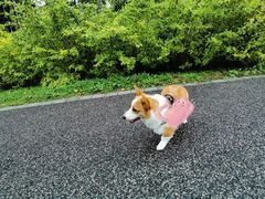 -松山湖南湖湾露营营地