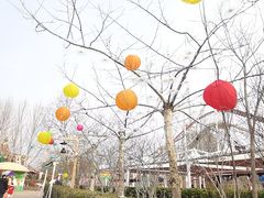 -郑州方特梦幻王国