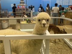 -王府井百货熙地港店
