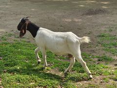 -杭州师范大学(下沙校区)