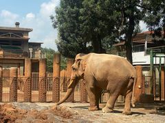 -昆明动物园