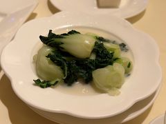 奶白菜-利苑酒家(宜安广场店)