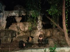 -清迈夜间动物园