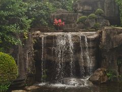 -荔枝公园(福田区)