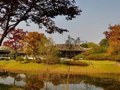 -贡湖湾湿地公园