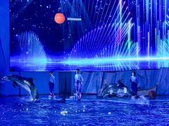 -海合安青岛极地海洋公园