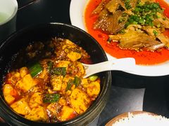 -陈麻婆豆腐总店