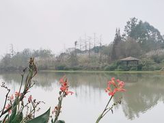 -桤木河湿地公园