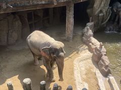 -长鹿旅游休博园