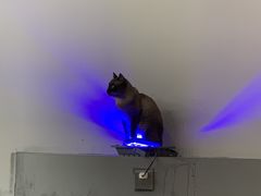 -极木²邸 人与宠物·互动社区