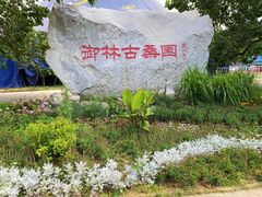 -御林古桑园