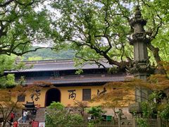-普陀山风景名胜区-法雨禅寺