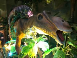 -恐龙探索乐园(磁器口店)