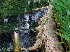 -成都市活水公园