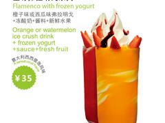 至尊弗拉明戈-Salud撒露欧洲冻酸奶(798艺术区店)