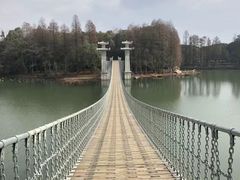 -东湖落雁景区