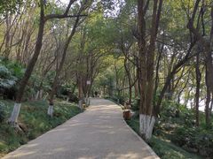 -天目湖涵田度假村