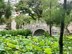 -惠州西湖丰渚园