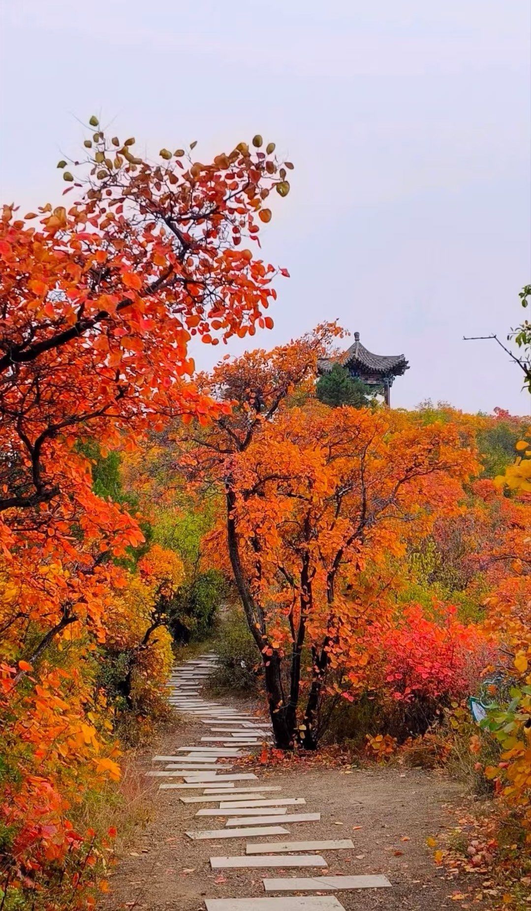 太原龙山景