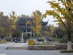 -红梅公园