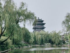 -济南大明湖景区