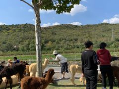 -大连铭湖国际观光牧场