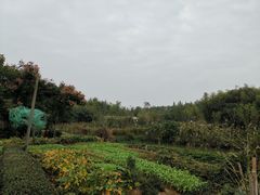 -村理食堂(小茅山脚店)