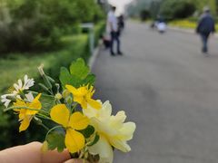 -长春市南湖公园