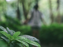 -燕晗山郊野公园