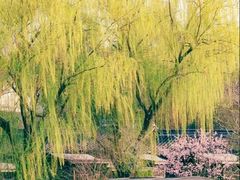 -乌镇景区
