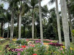 -深圳仙湖植物园