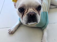 -怪兽屋·羊驼·猫咖·狗咖(俊华广场店)