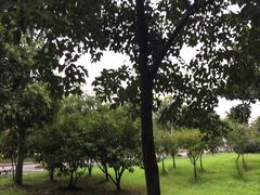 -东南大学(九龙湖校区)
