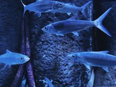 -波塞冬旅游度假区