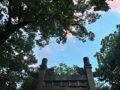 -灵谷景区