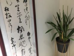 -LORI SPA洛丽汇 美肤抗衰SPA中心