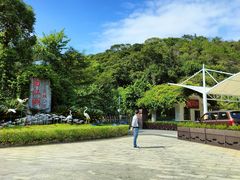 -广州白江湖森林公园