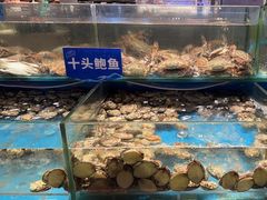 -亚马逊海鲜自助(王府井店)