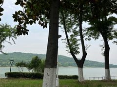 -羊山湖公园