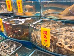 -渔中舟海鲜大排档(普陀沈家门店)