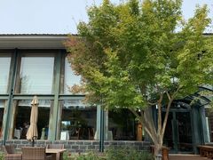 -上林马术中央公园·户外露营·团建·骑乘